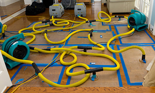 Professional Water Damage Repair technician working in Rock Island, TX